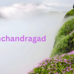 Narkanda- Shimla’s Ultimate Skiing destination in the Himalayan ranges