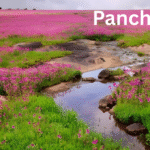 Auli-India’s Mini Switzerland, SnowSki Glides Adrenaline Rush