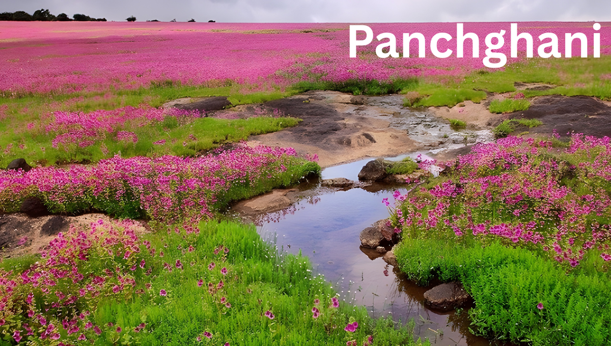 Panchghani