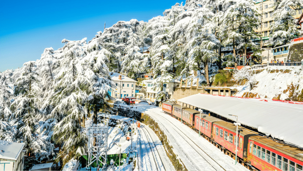 Shimla