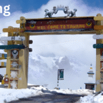 Dive into Tarkali and live on the houseboats in the Karli rivers of Maharashtra.