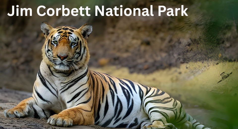 Jim Corbett National Park