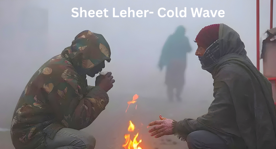 Cold wave