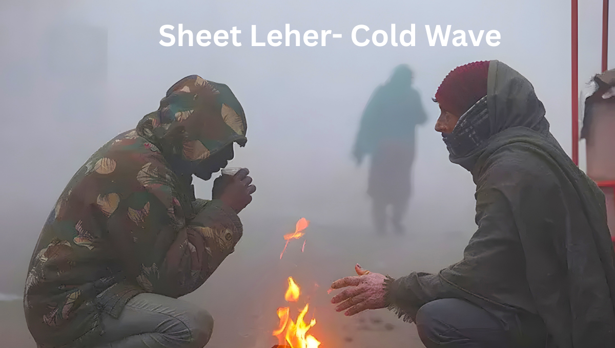 Cold wave