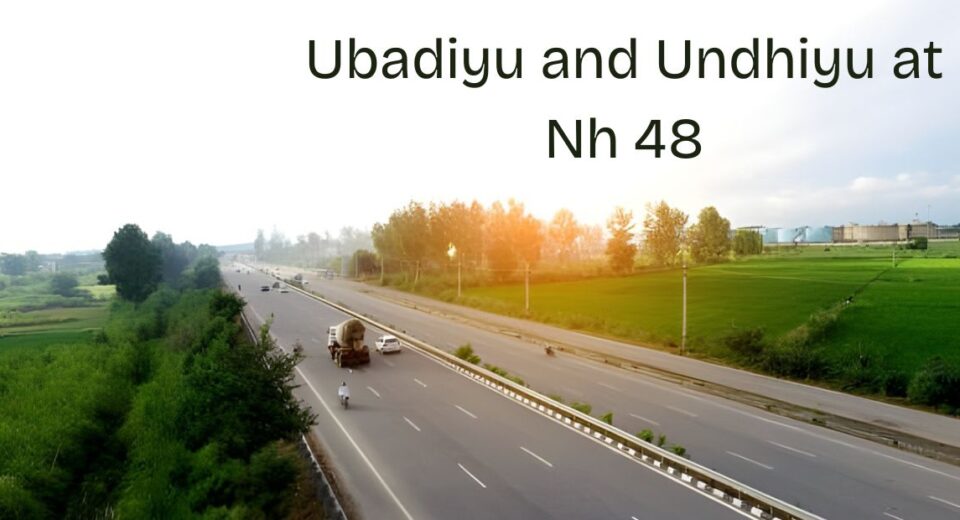 Undhiyu