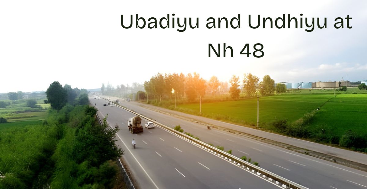 Undhiyu