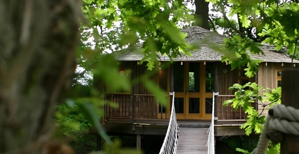 Treehouse