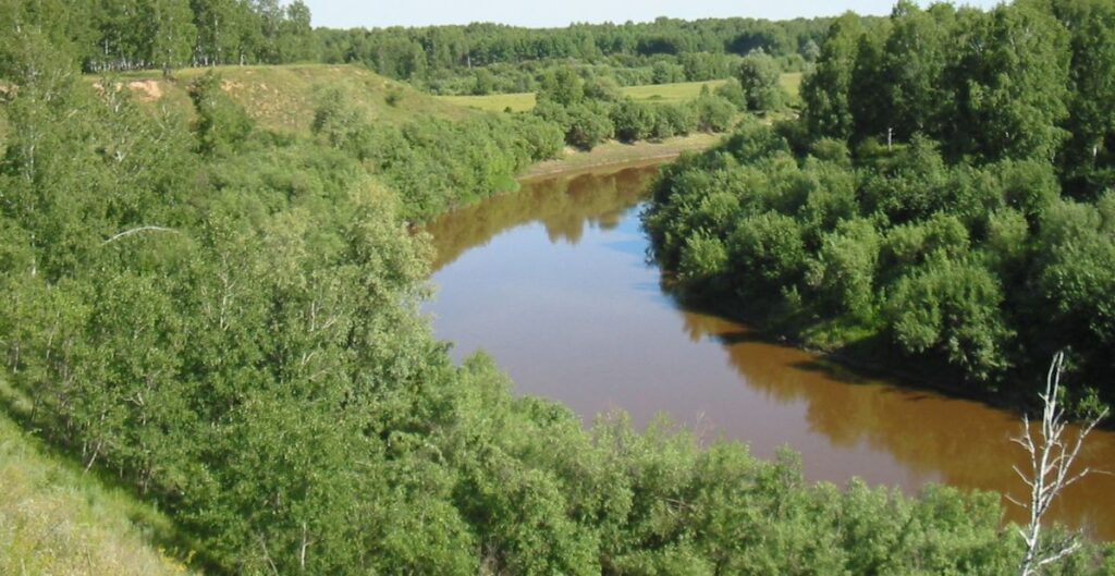 Okunevo