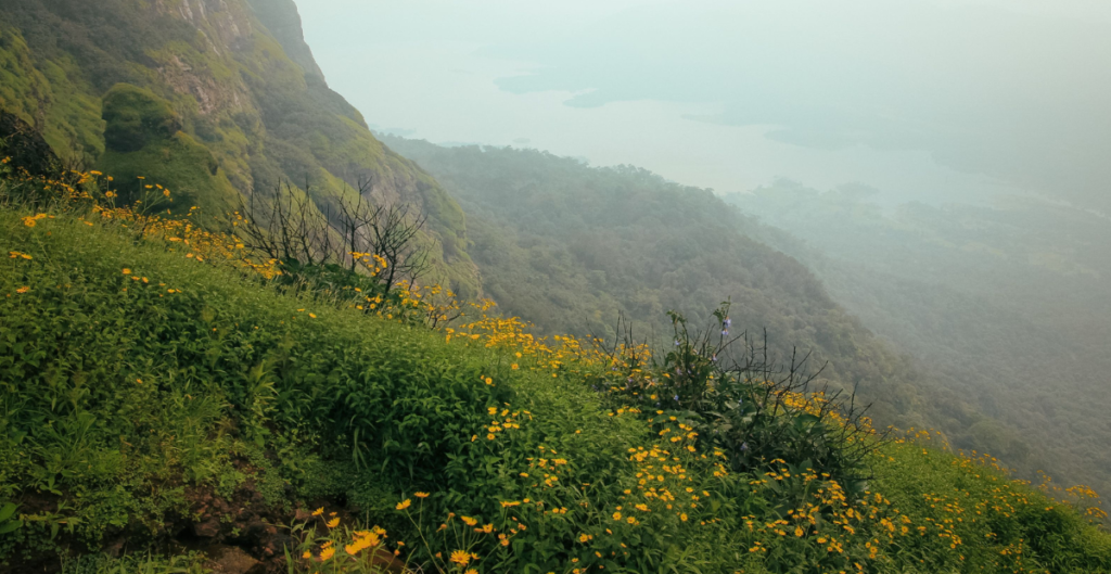 Lohagad fort