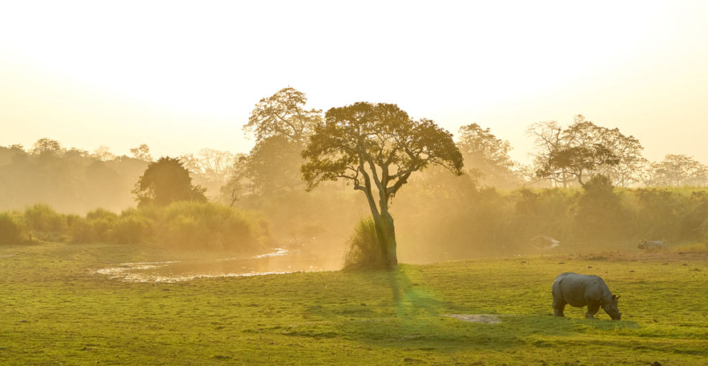 Assam