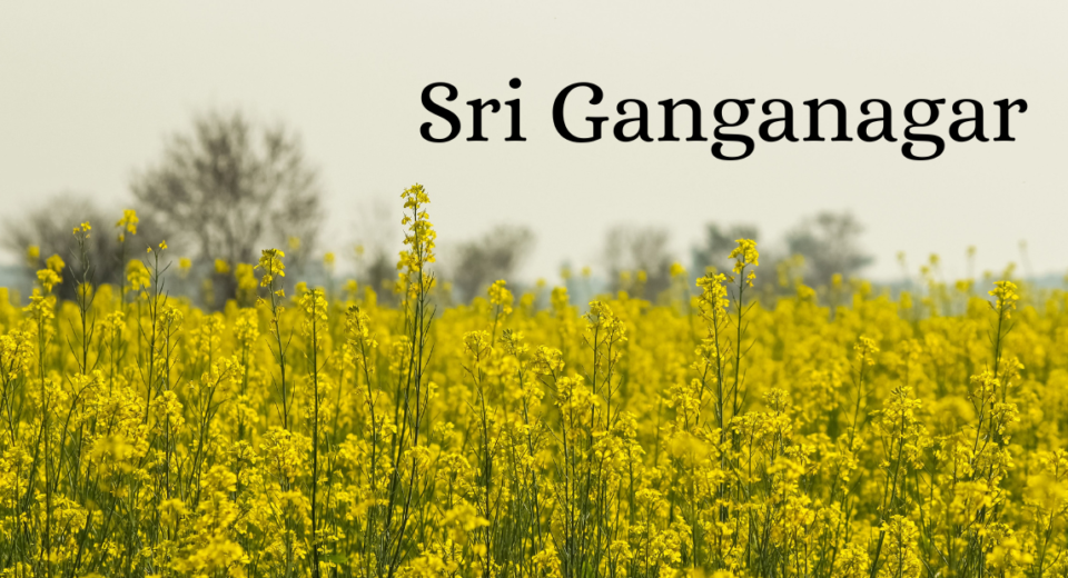 Sri Ganganagar
