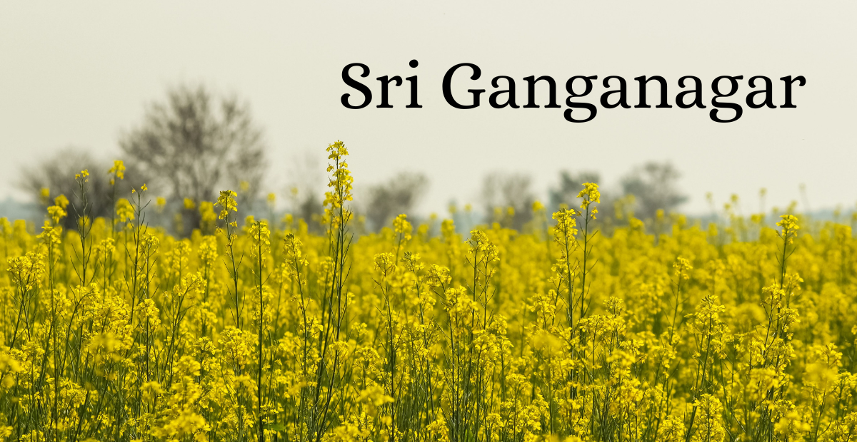 Sri Ganganagar